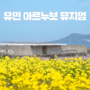 제주 유민 아르누보 뮤지엄 / 제주도 전시 유민미술관 관광지