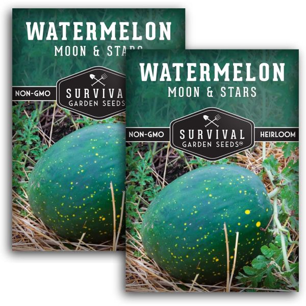 프리미엄 과일씨앗 맛있는 정원 과일씨 서바이벌 가든 <b>씨드</b> - Moon &amp; Stars 심는 수박 가정용 채소밭에 멜론을 심고 재배하는 방법이 있는 2팩 희귀 <b>슈퍼</b> 스위트 비 GM