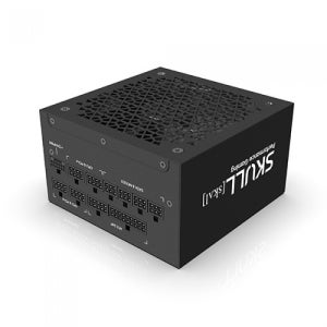 NEWZEN SKULL 1000XM ATX 3.0 80PLUS GOLD PCIE5 품위