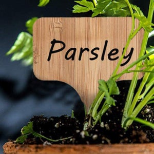 화분이름표 식물이름표 대나무 네임택