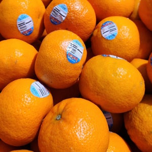 캘리포니아 만다린 귤 1kg외 프리미엄 고당도