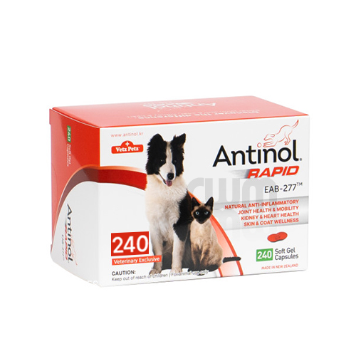 (DOG/CAT) 안티놀 래피드 대용량 240정 천연 관절 영양제 초록입홍합 추출 오일