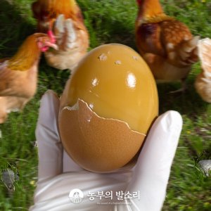 맥반석 구운계란 훈제계란 구운석 훈제란 30구 파손보장