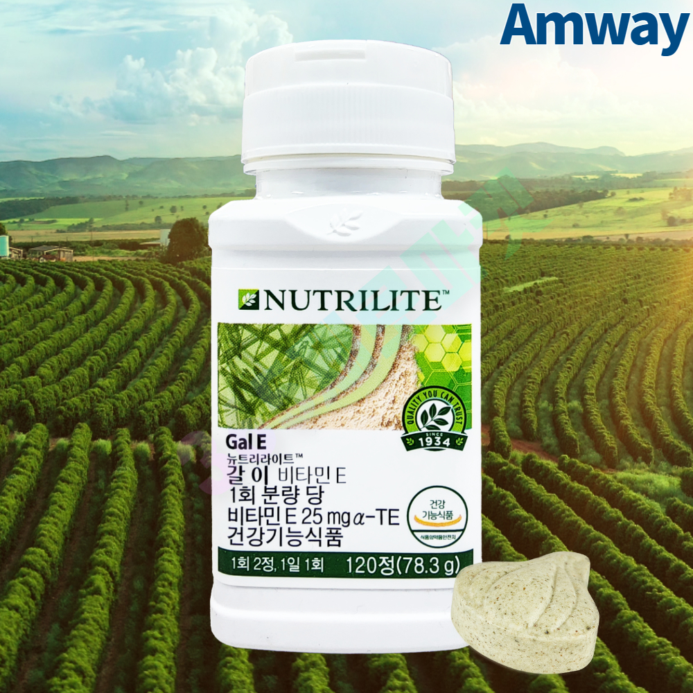 암웨이 갈이 비타민 120정 뉴트리라이트 / 유해산소로부터 세포 보호