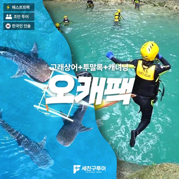 [세친구투어 오캐팩] 세부 고래상어+가와산 캐녀닝+투말록폭포 원데이투어