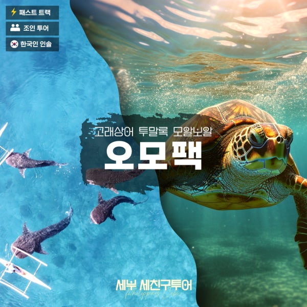[세친구투어 오모팩] 세부 고래상어 + 모알보알 + 투말록폭포 원데이투어