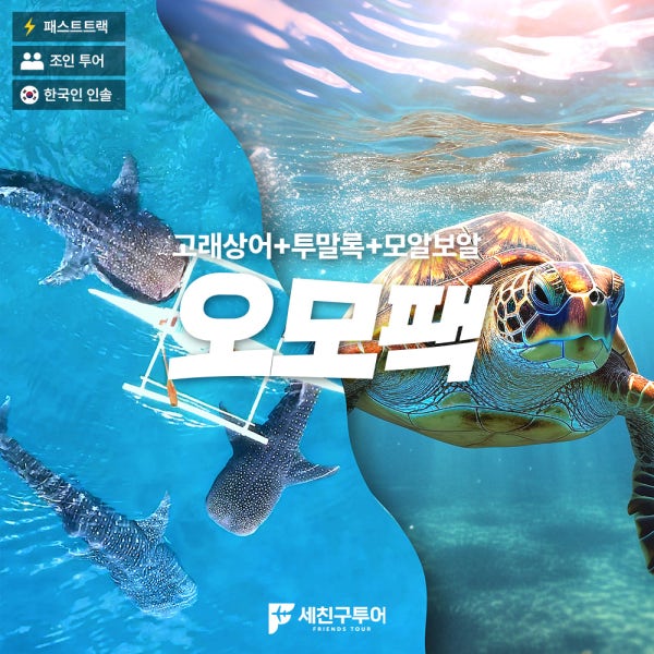 [세친구투어 오모팩] 세부 고래상어 + 모알보알 + 투말록폭포 원데이투어