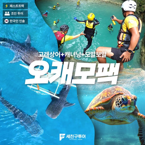 [세친구투어 오캐모팩] 세부 고래상어 가와산 캐녀닝 모알보알 투말록폭포 원데이투어