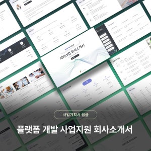 플랫폼 개발 사업지원 서비스 회사소개서 PPT 템플릿 샘플 양식(IR자료, 웹개발, 모바일개발, CRM, 정부지원PPT,정부지원사업 PPT)