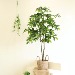 인테리어 조화 나무 조경 플랜테리어 사무실 내추럴벤자민 130cm