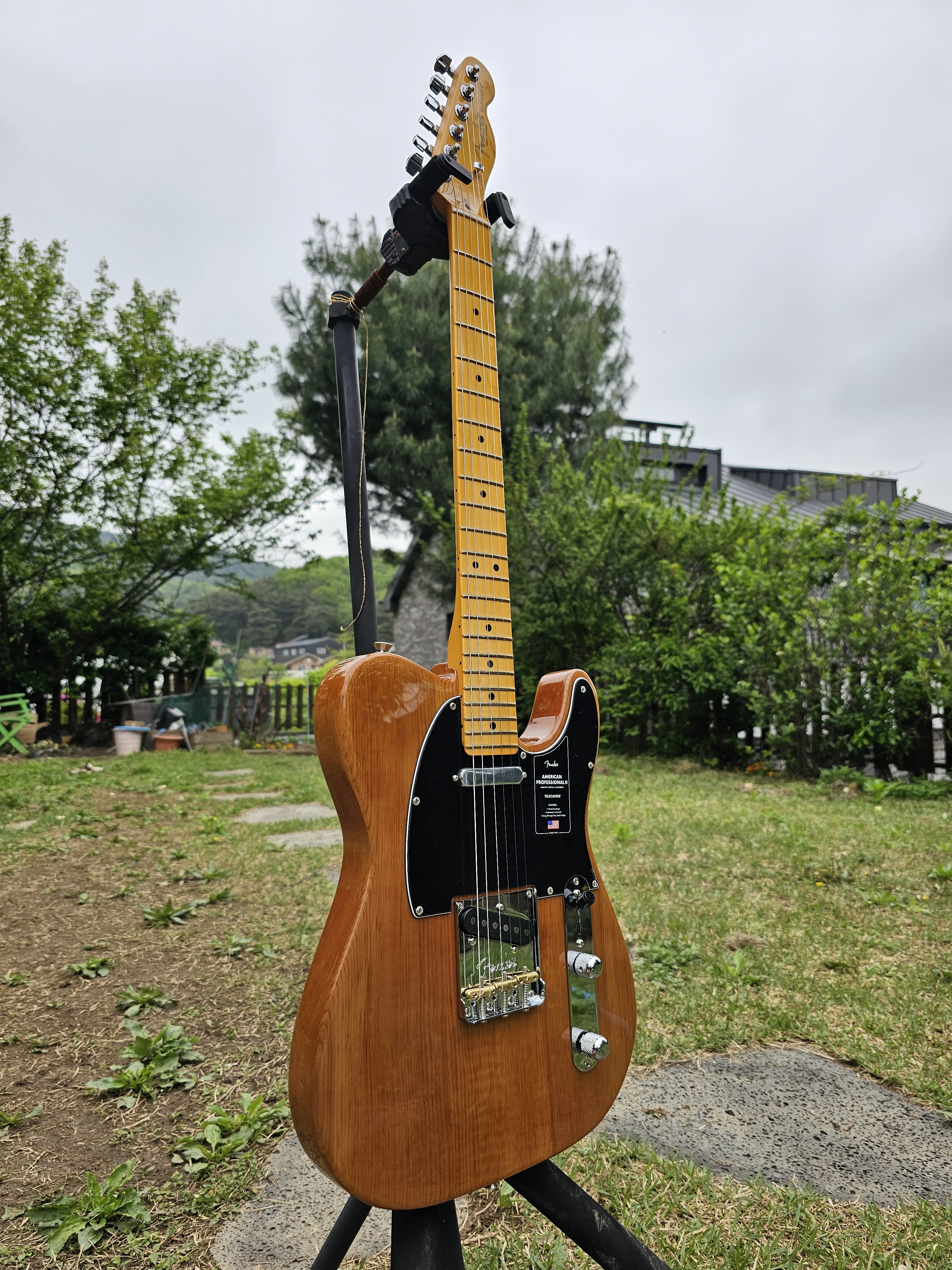 Fender 펜더 아메리칸 프로페셔널 2 텔레케스터 로스티드 파인