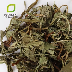 국산 말린 건조 민들레 잎 300g 포공영