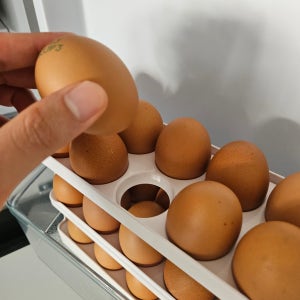 NEW 신선보관 달걀트레이 3단선반형 에그트레이 계란30구