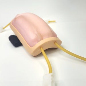 팔주사연습모형 간호사 실습도구 트레이닝 연습 혈관 의대생 실리콘