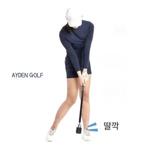 에이든 골프 스피드맥스 스윙연습기 스윙스피드 비거리 장타 리듬 템포 타이밍 훈련 가정용