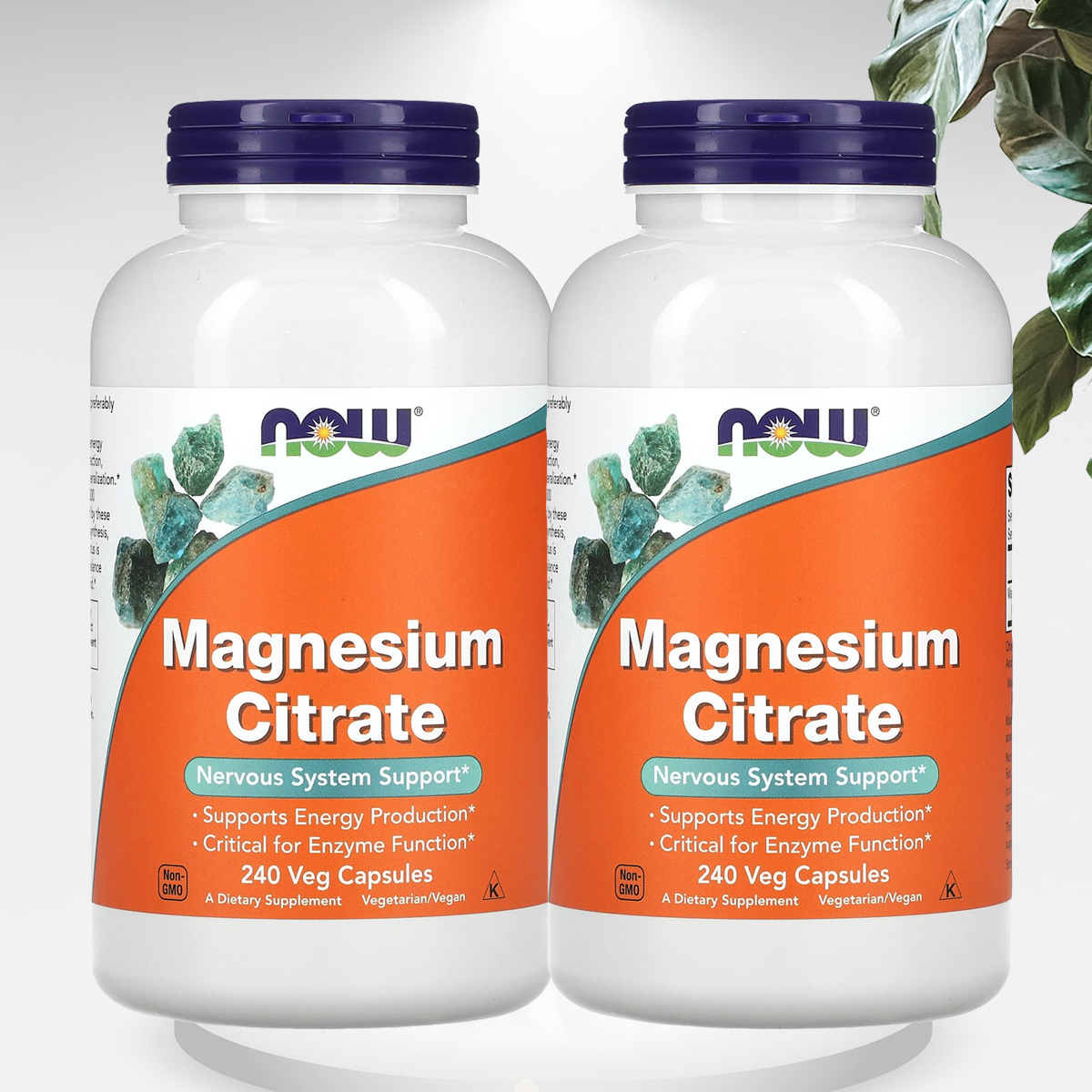 나우푸드 구연산 마그네슘 400mg 240캡슐 2개