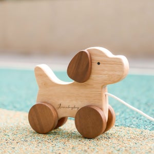 아카시아봉봉 강아지 산책놀이 원목교구 아기 걸음마 장난감 선물