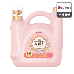 샤프란 꽃담초 용기 연꽃유칼립투스, 5.5L, 1개