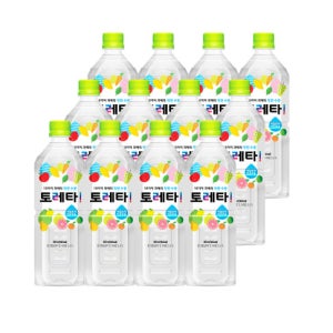 토레타 이온음료 12개입 900ml