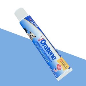 [자이목스] 오라틴 투스페이스트 겔(젤) 70g 유해세균 억제