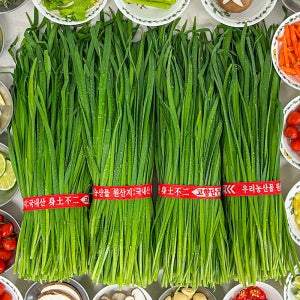 농가살리기 국내산 하우스 햇 부추 2단 4단