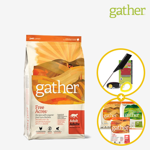 Gather