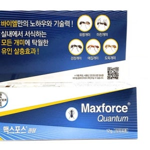 유령 개미 퇴치 박멸 개미 죽이는약 해충제