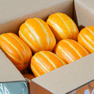 성주 고당도 꿀참외 가정용 못난이 5kg
