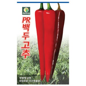 다농 PR백두고추 씨앗 1200립 텃밭 다수확품종고추 강한매운맛고추씨