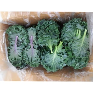 야채이야기 로즈잎 800g-1kg 적로즈 백로즈 혼합로즈 로즈케일