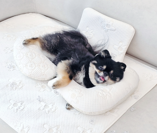 강아지베개 유모차쿠션 여름 듀라론 반달S