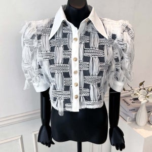 [VIVA] 24SS 깃털 시스루 크롭 블라우스