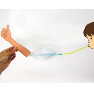 근수축 모형 만들기 초등 과학 실험 키트 팔 근육 원섬유마디