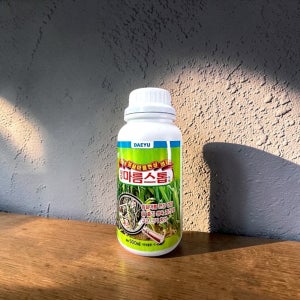 마늘 잎마름병 약 잎끝 마름 녹병 흰가루병 탄저병 노균병 무름병 예방 살균제