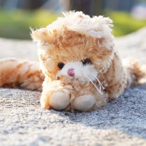 광고 메인 이미지