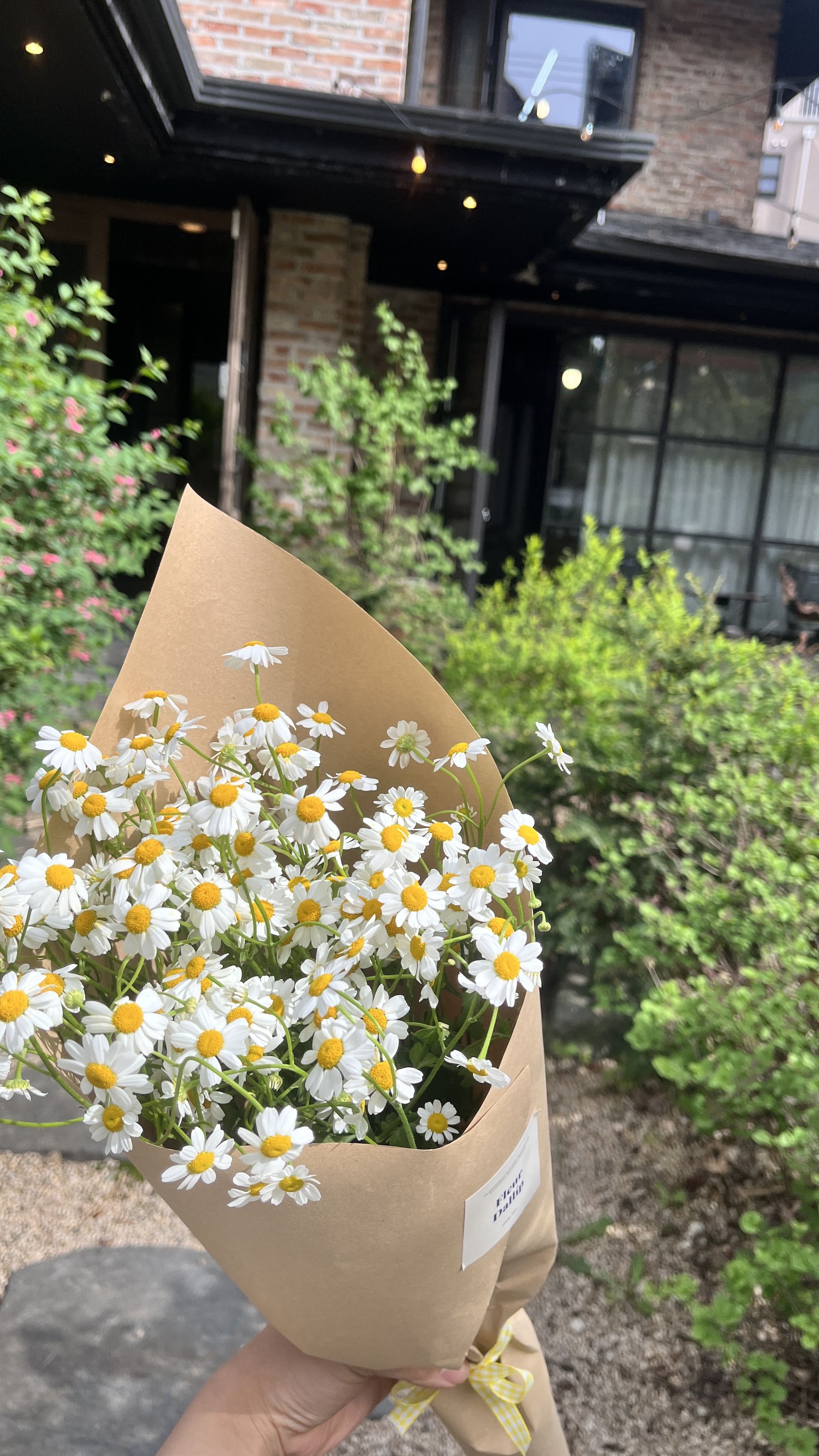 캐모마일꽃다발 미니꽃다발 계란꽃 귀여운 마트리카 꽃다발 빈티지 식용가능 카모마일 졸업스냅