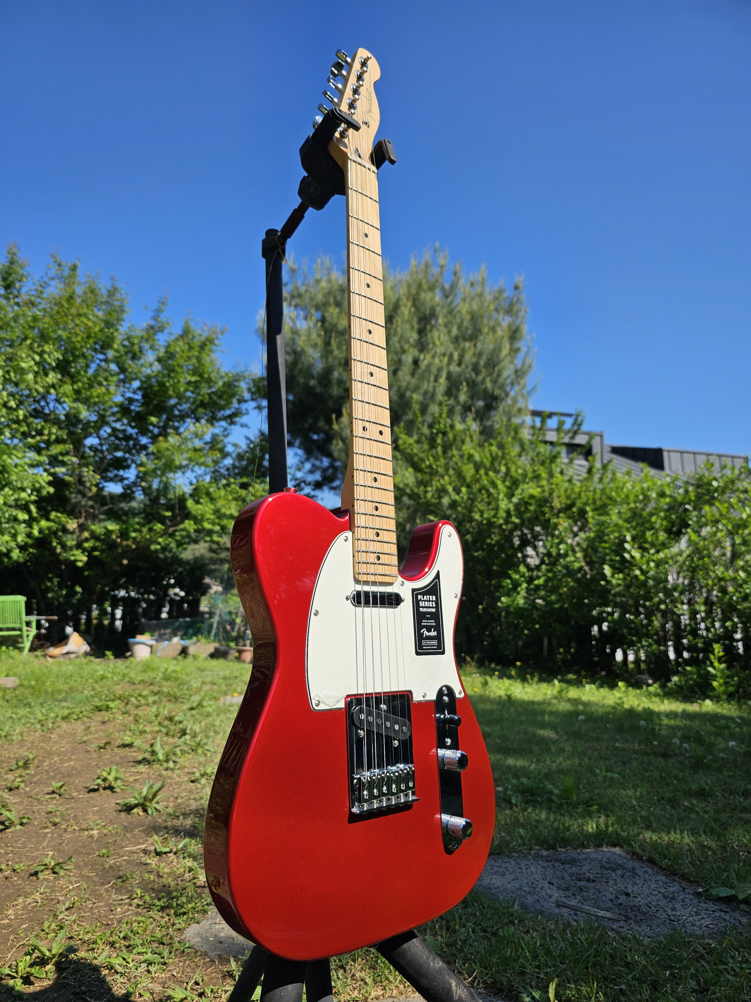 Fender 펜더 플레이어 텔레케스터 캔디 애플 레드