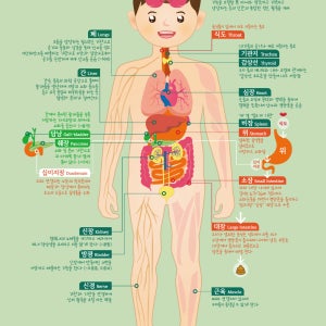 디자인완두 우리몸 이야기 유아포스터 어린이 학습 벽보 아기 벽그림 완구