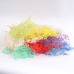 프리저브드플라워 표백 안개꽃 몽글몽글 스몰안개 10색