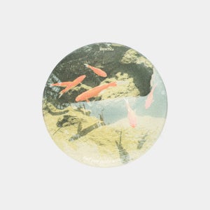 규조토 티코스터 컵받침 - 연못