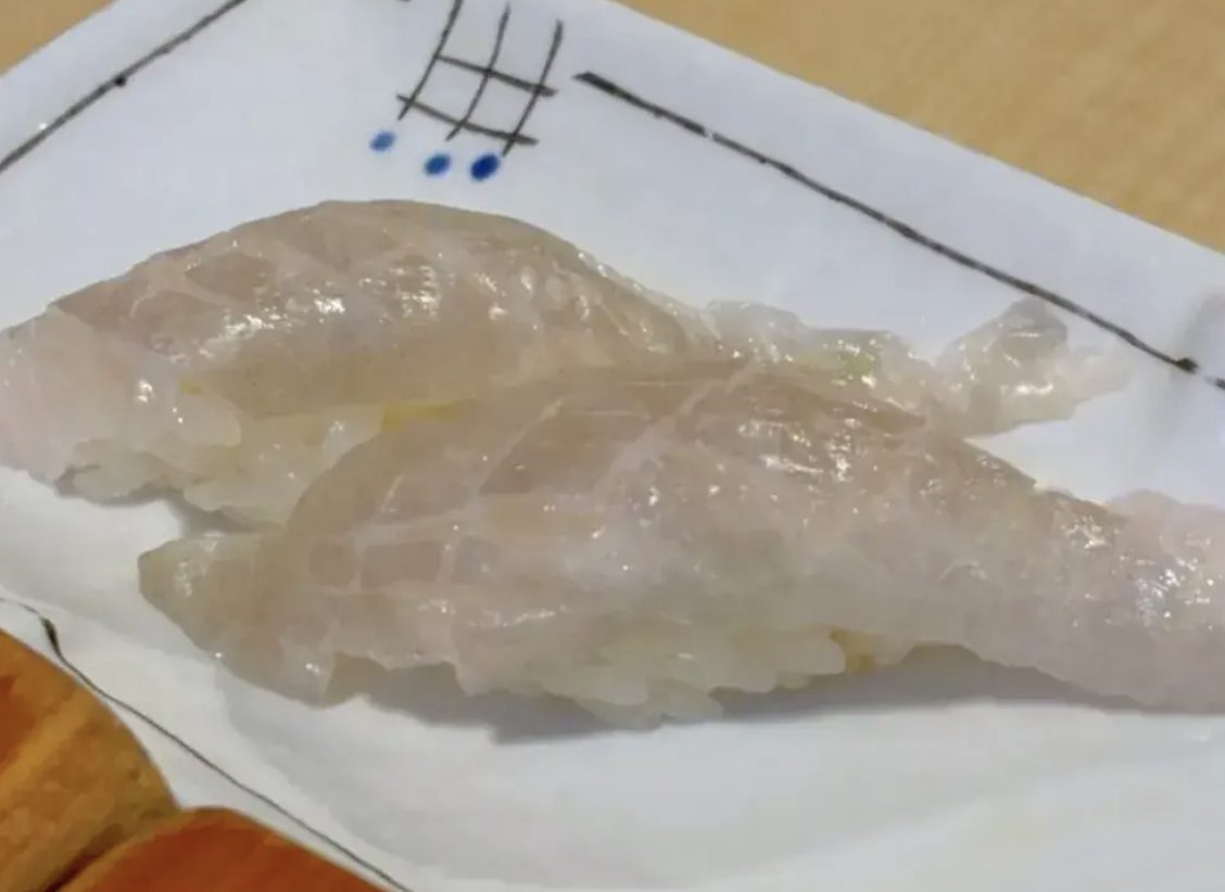 광어지느러미