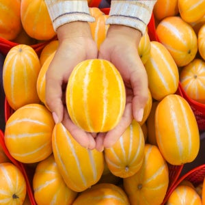 참외 성주 맛보장 가정용 프리미엄 고당도 꿀참외