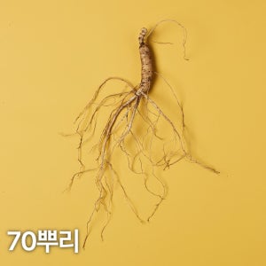 5,6년근 산양산삼 70뿌리 산양삼 장뇌삼