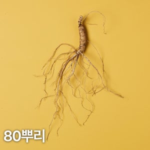 5,6년근 산양산삼 80뿌리 산양삼 장뇌삼