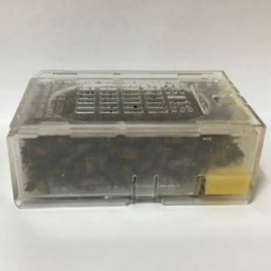 벌침 벌 효능 봉독 침 봉침 용 힘센 벌