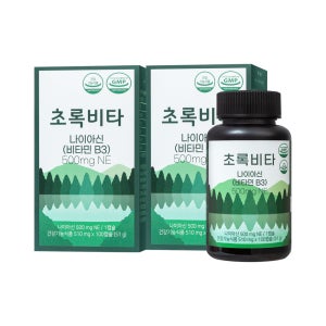 초록비타 고용량 비타민B3 500mg 나이아신아미드 니코틴산아미드 NAM 100캡슐, 2개
