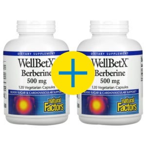 내추럴팩터스 WellBetX 베르베린 500mg 120캡슐 x 2개