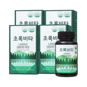 초록비타 고용량 비타민B3 500mg 나이아신아미드 니코틴산아미드 NAM 100캡슐, 4개