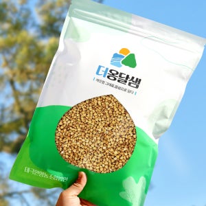 더옹달샘 국산 노란 볶은 깐 메밀 500g 거피 메밀차