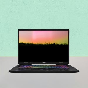 MSI 펄스 17 AI C1VFKG-U9 QHD (FREEDOS / SSD 1TB / RAM 32GB) HMC